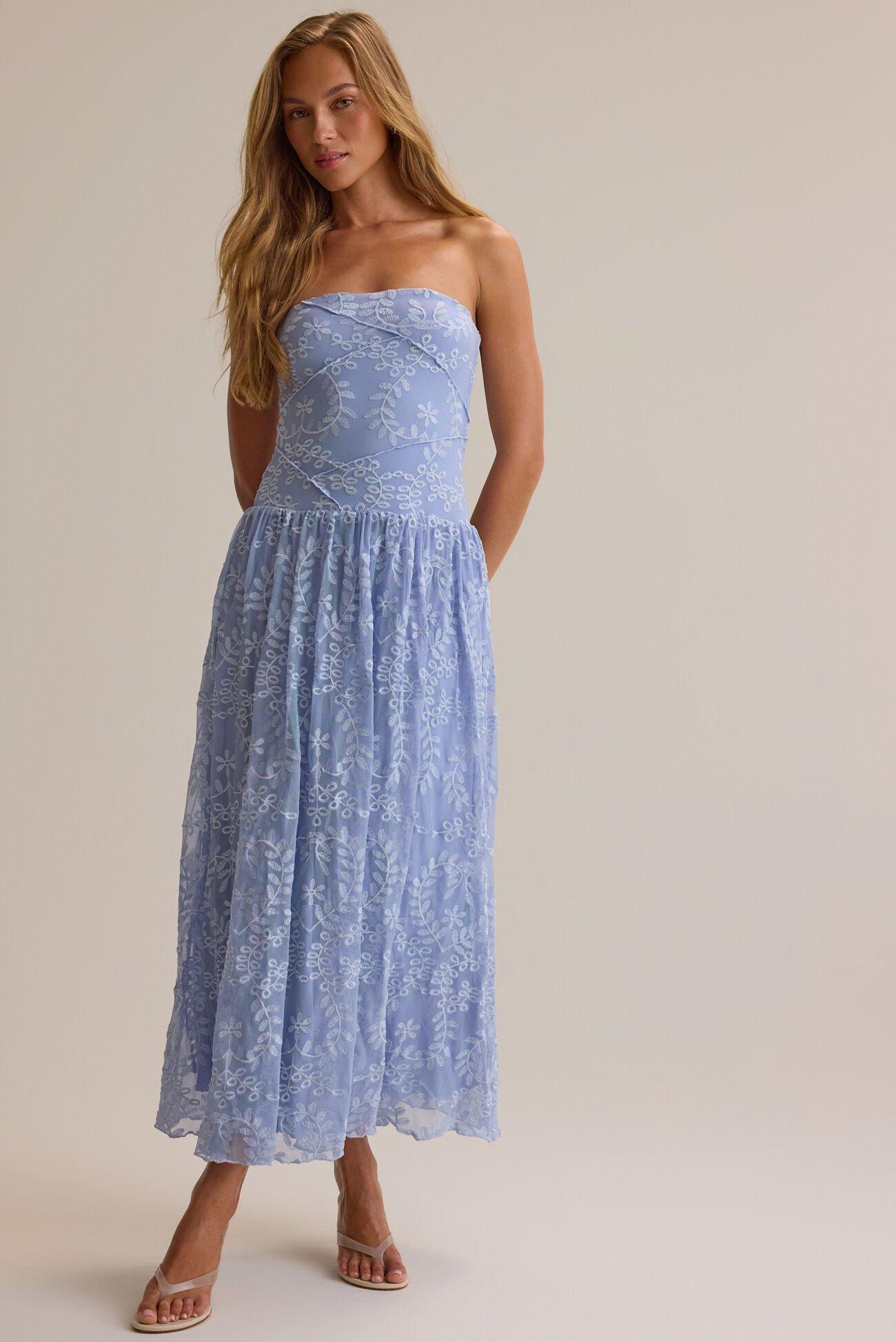 Mira Mesh Maxi Dress Product Image