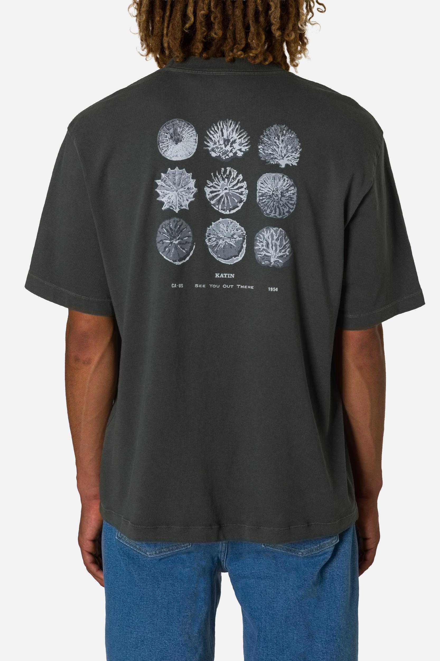 BOYS SPECIMEN BOX FIT TEE Product Image