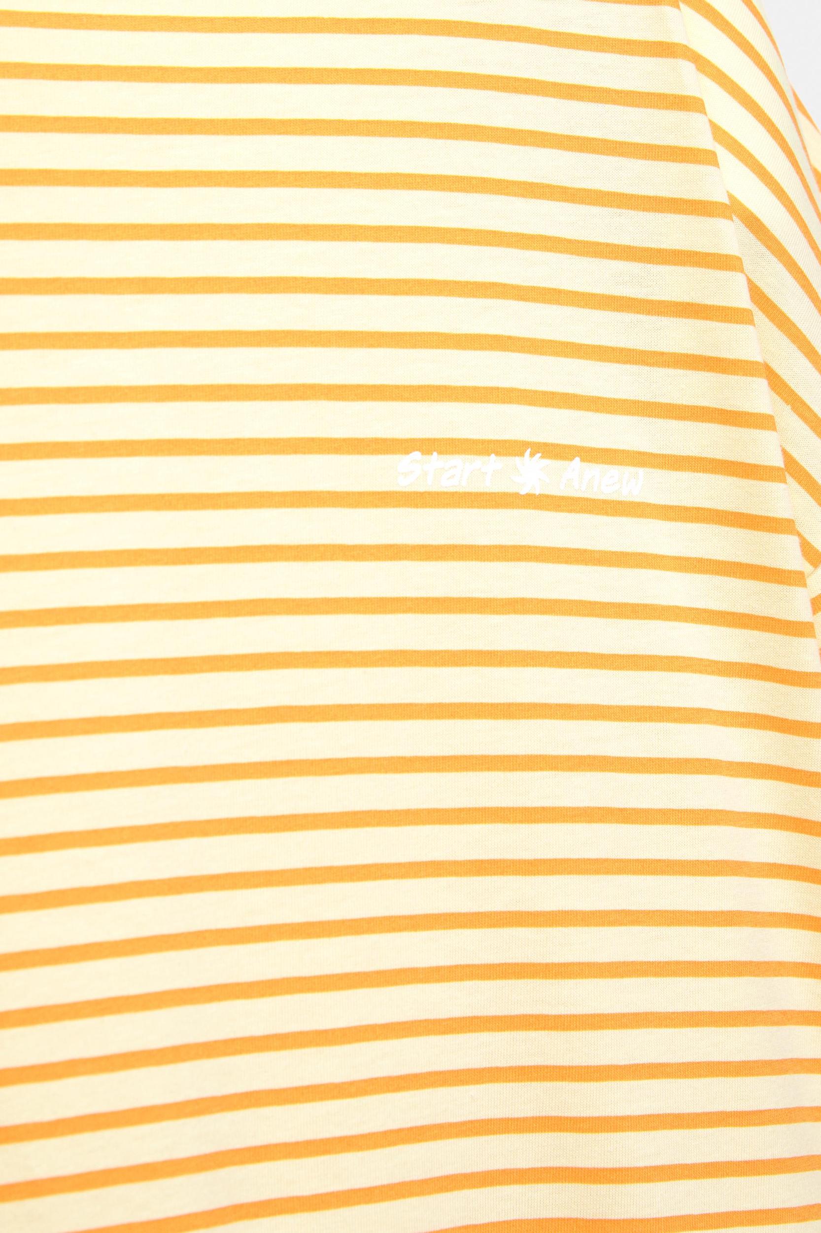 Striped T-shirt Product Image