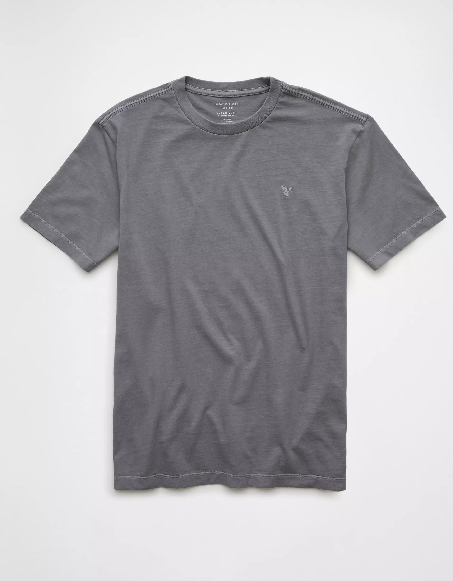 AE Logo Lived-In T-Shirt Men's Product Image