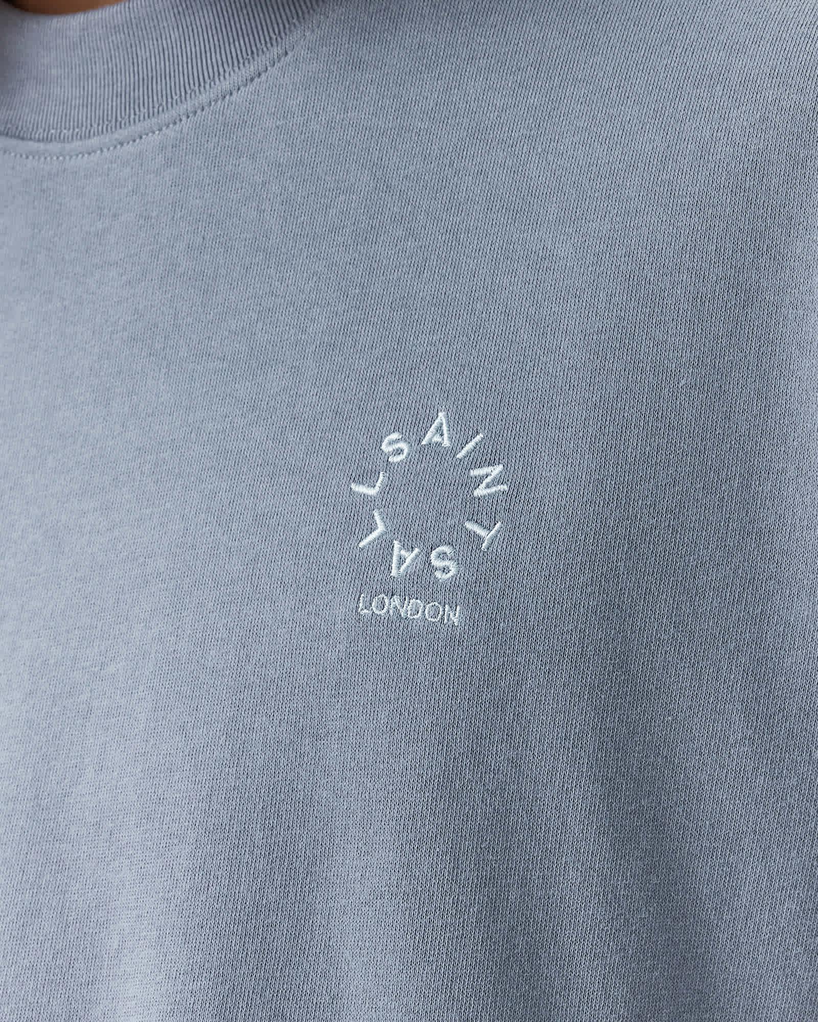 Haven Embroidered Logo Oversized T-Shirt MAYA BLUE | ALLSAINTS US Product Image