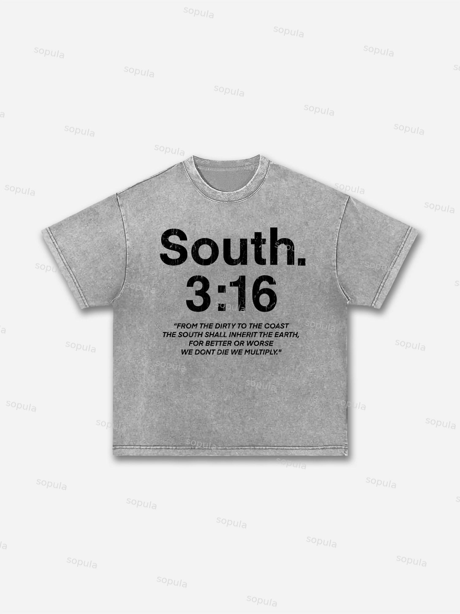 South 3：16 Placard Graphic Acid Wash T-shirt Product Image