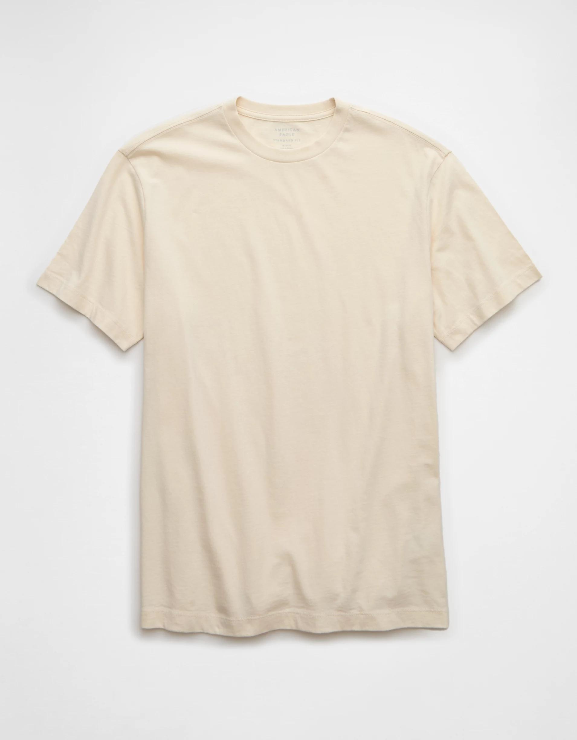 AE Lived-In T-Shirt Product Image