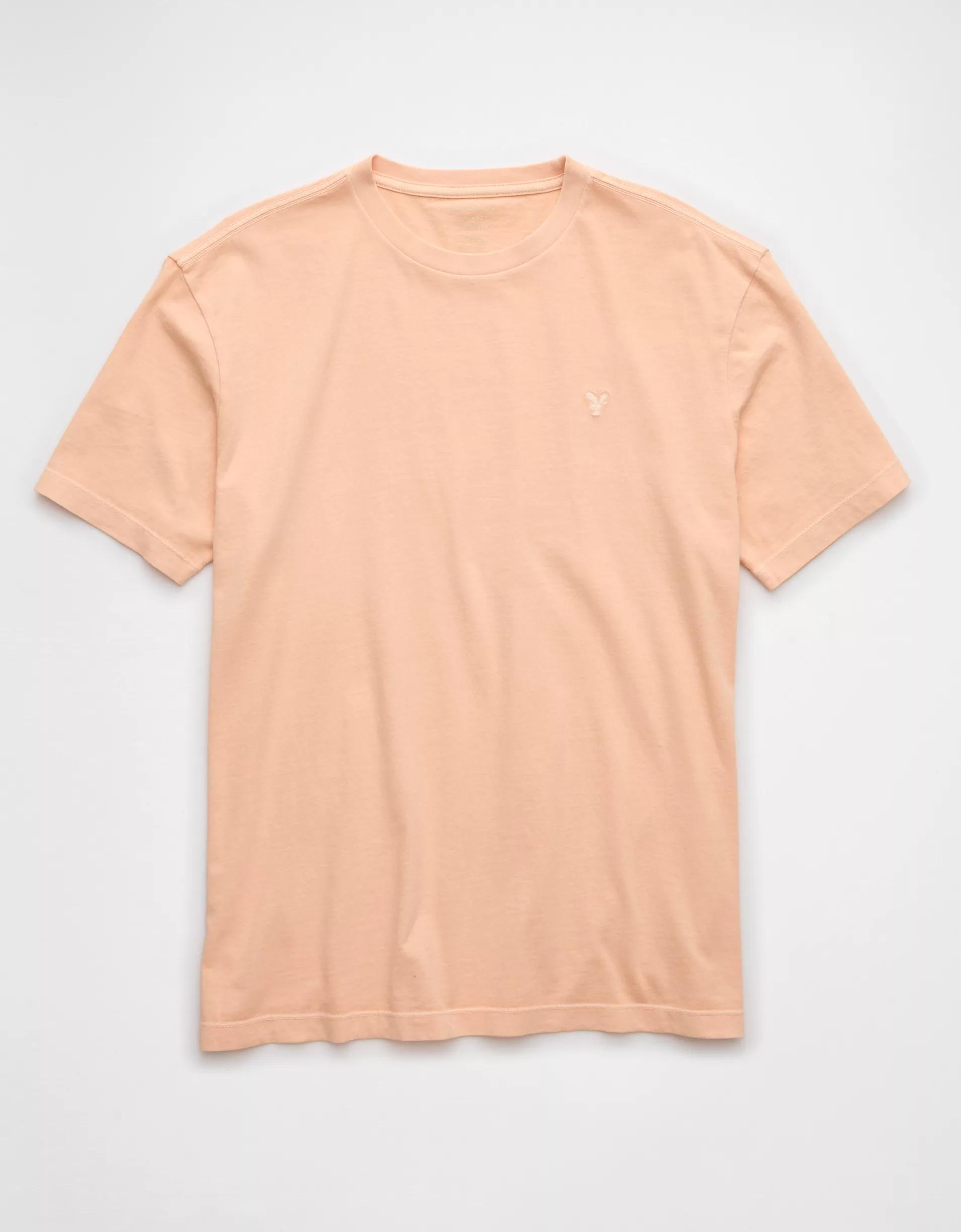 AE Lived-In T-Shirt Product Image