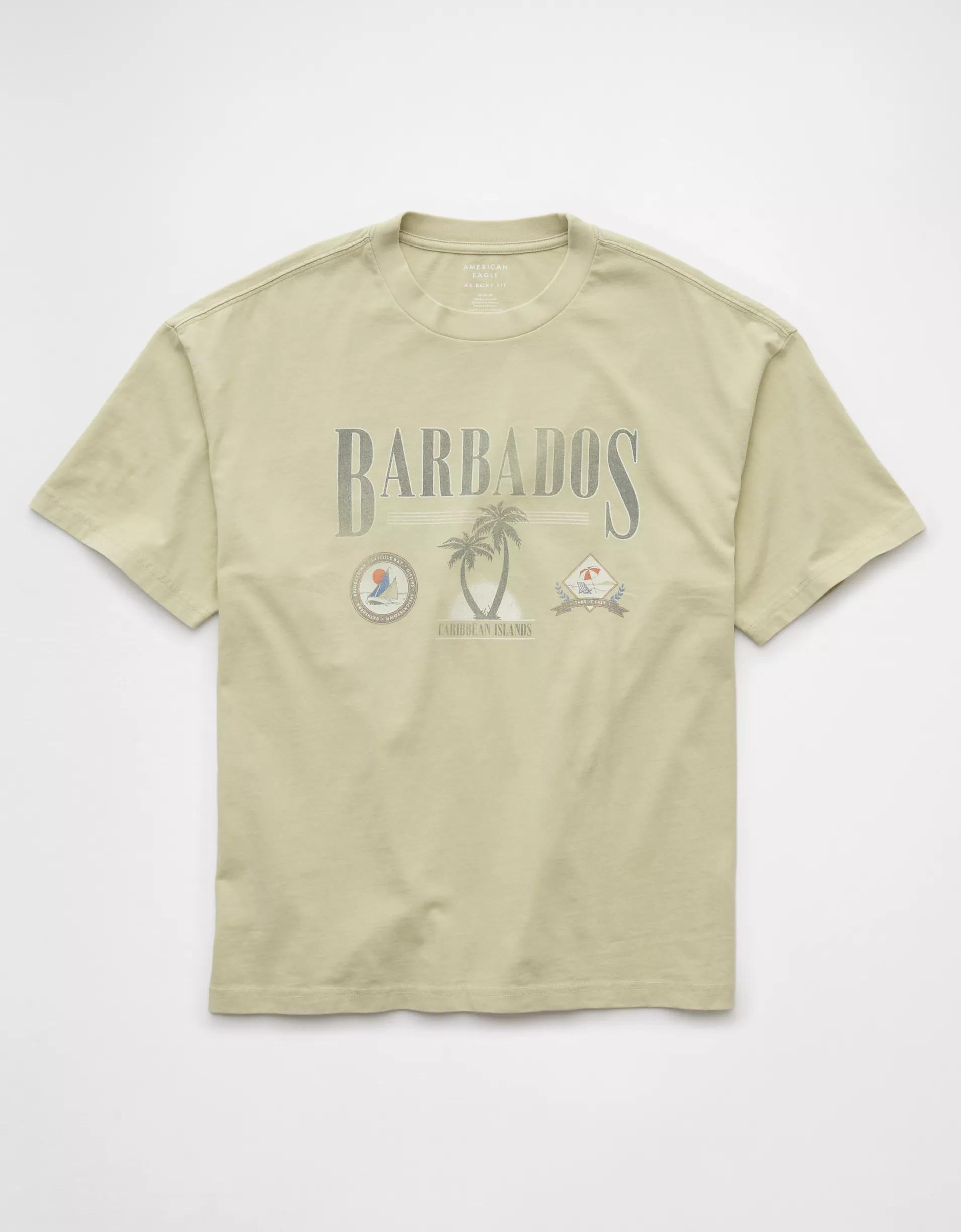 AE Boxy Destination Graphic T-Shirt Product Image