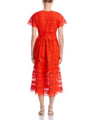Hibiscus Lace Dress Product Image