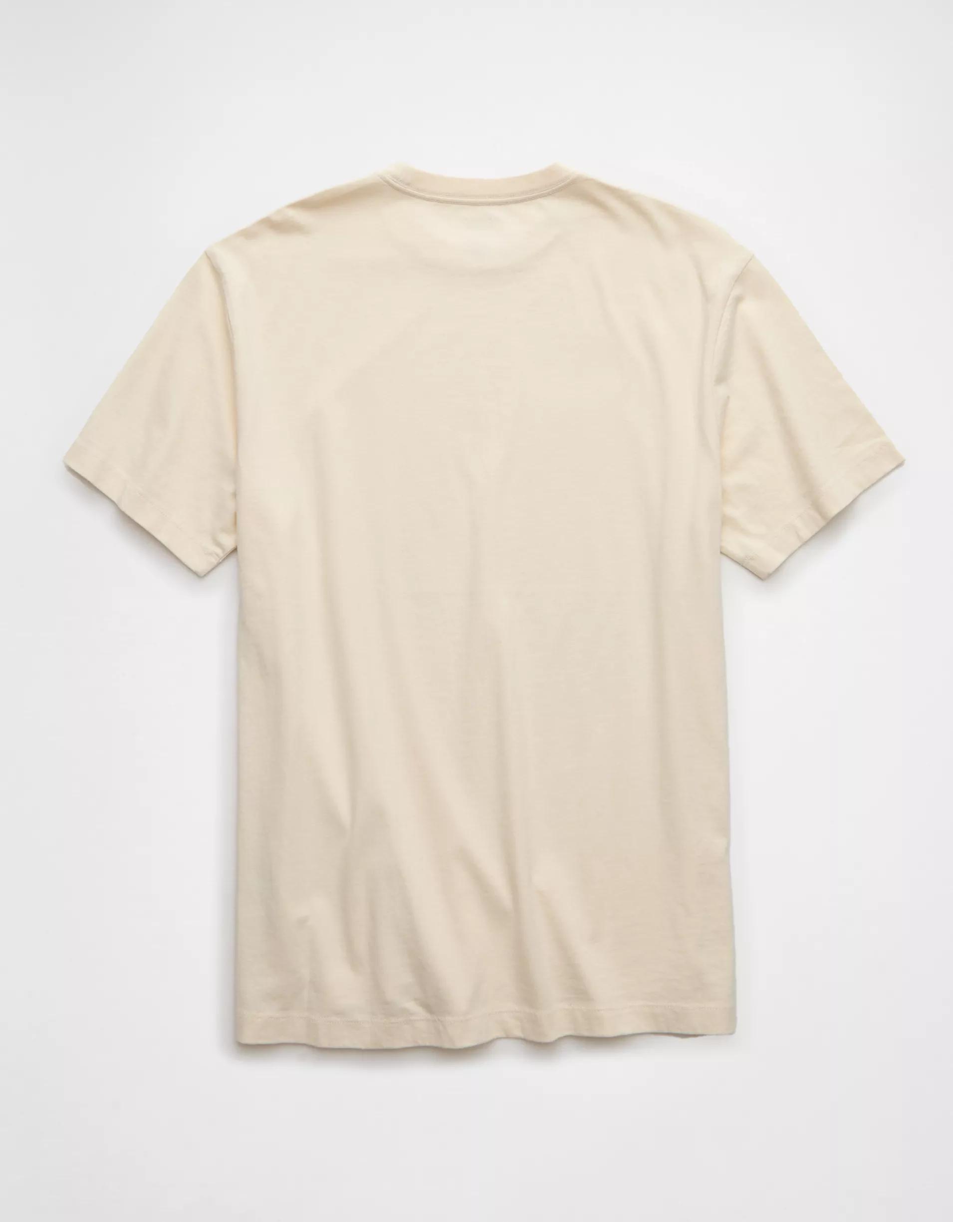 AE Lived-In T-Shirt Product Image