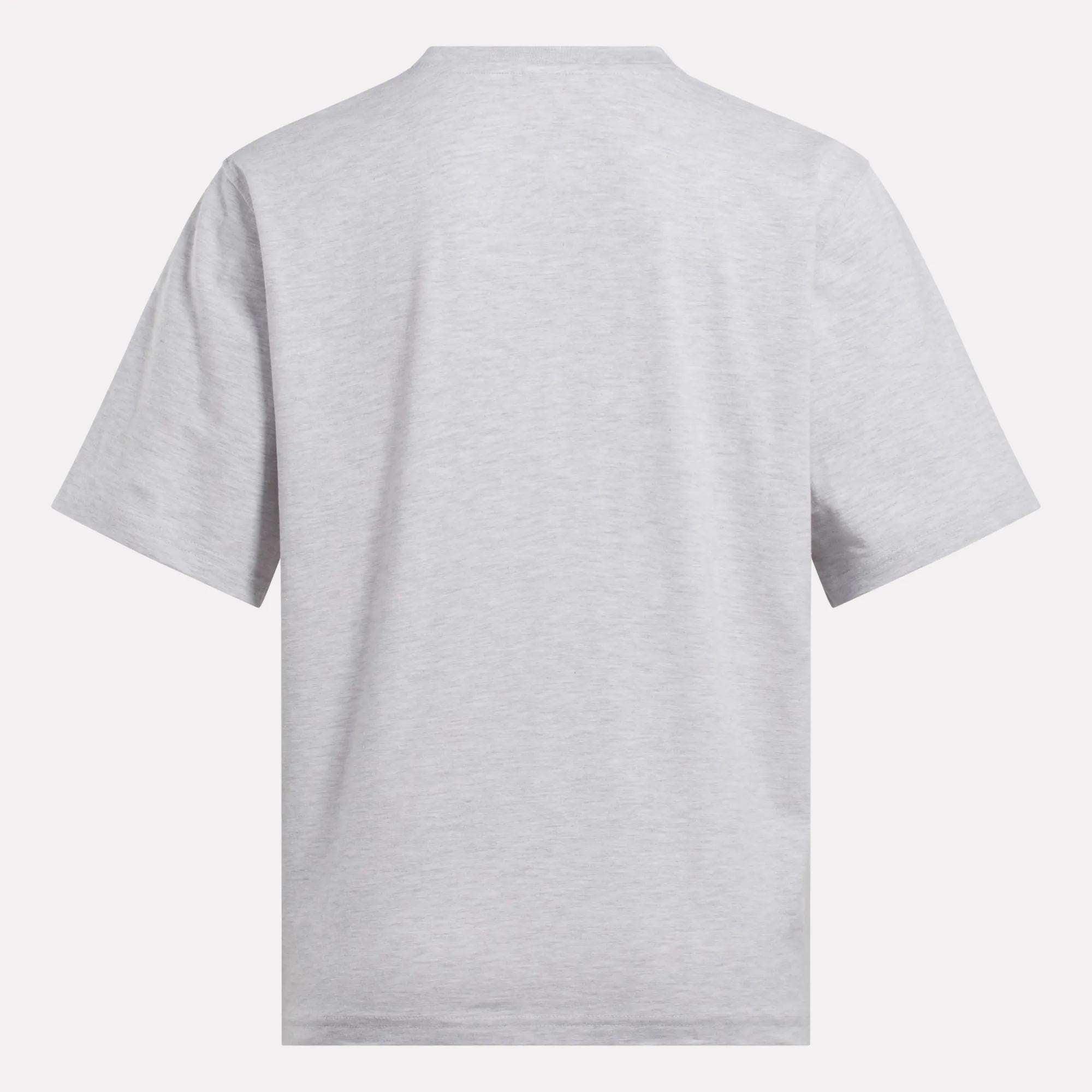 Women's Big Logo Oversized Crew Short Sleeve Tee Female Product Image