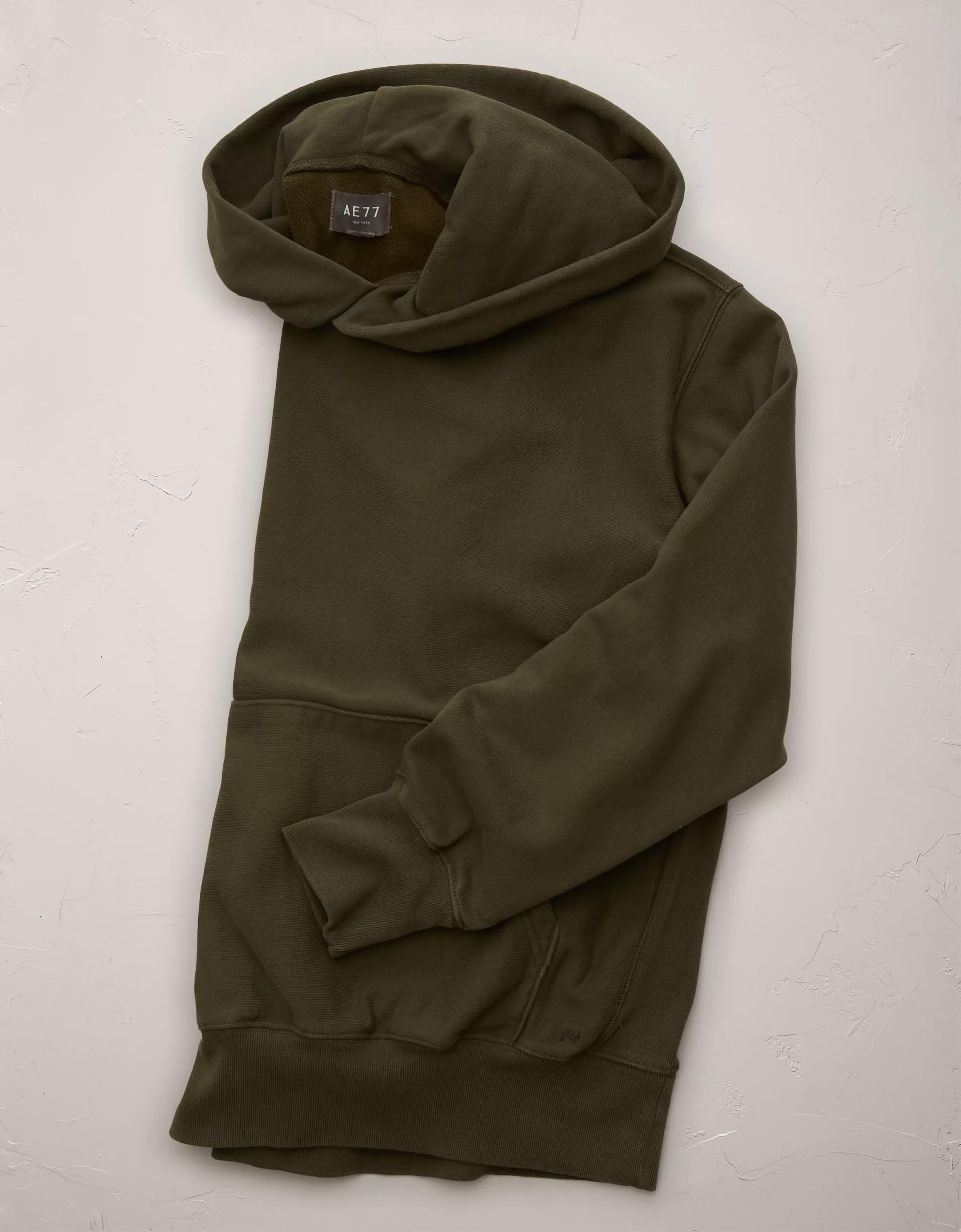 AE77 Premium Fleece Hoodie Product Image