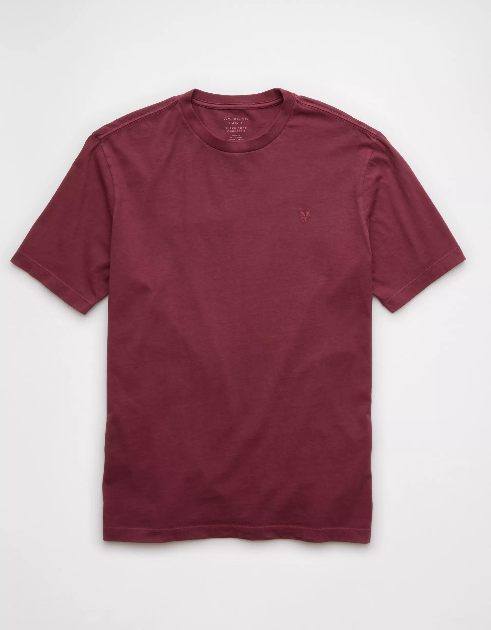 AE Logo Lived-In T-Shirt Product Image