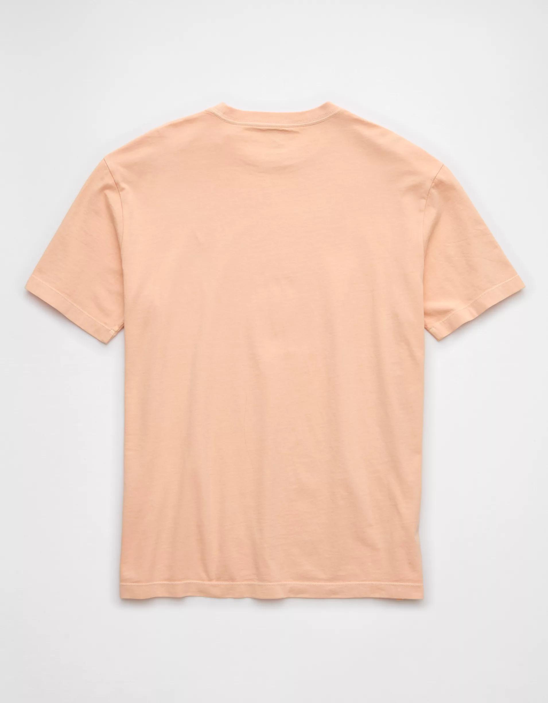 AE Lived-In T-Shirt Product Image