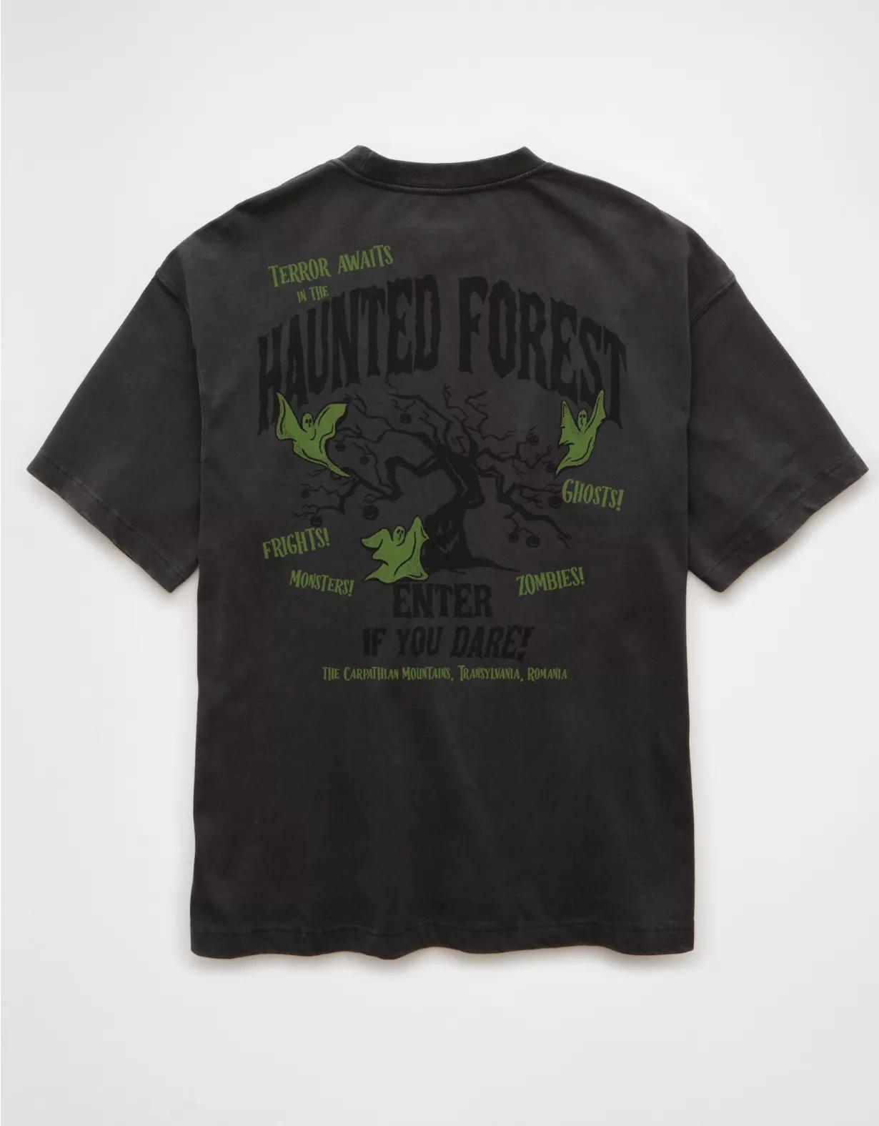 AE Boxy Oasis Graphic T-Shirt Product Image