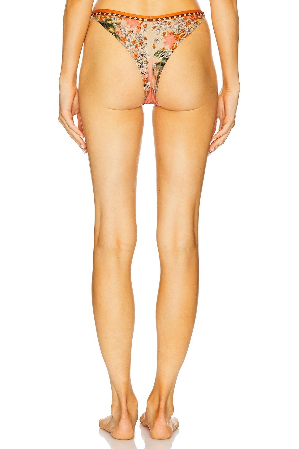 Maicie Bikini Bottom Agua Bendita Product Image