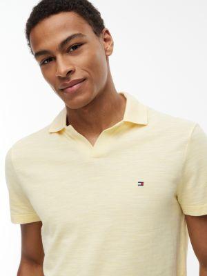 Regular Fit Textured Oxford Slub Polo Product Image