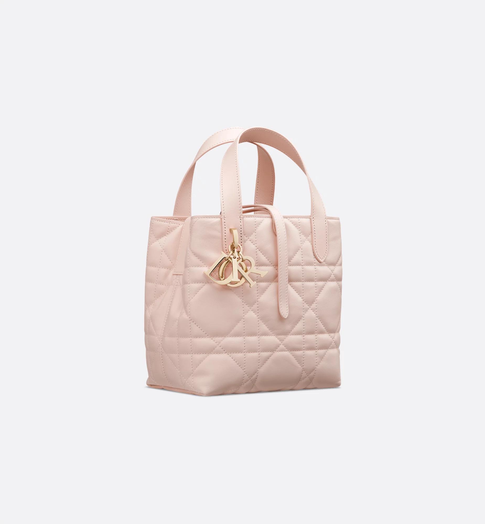 Small Dior Toujours Vertical Tote Bag Product Image