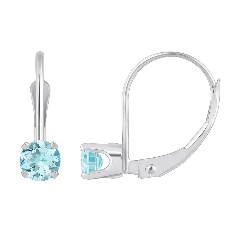 Celebration Gems 14k White Gold Gemstone Drop Earrings, Women's, Aquamarine Product Image