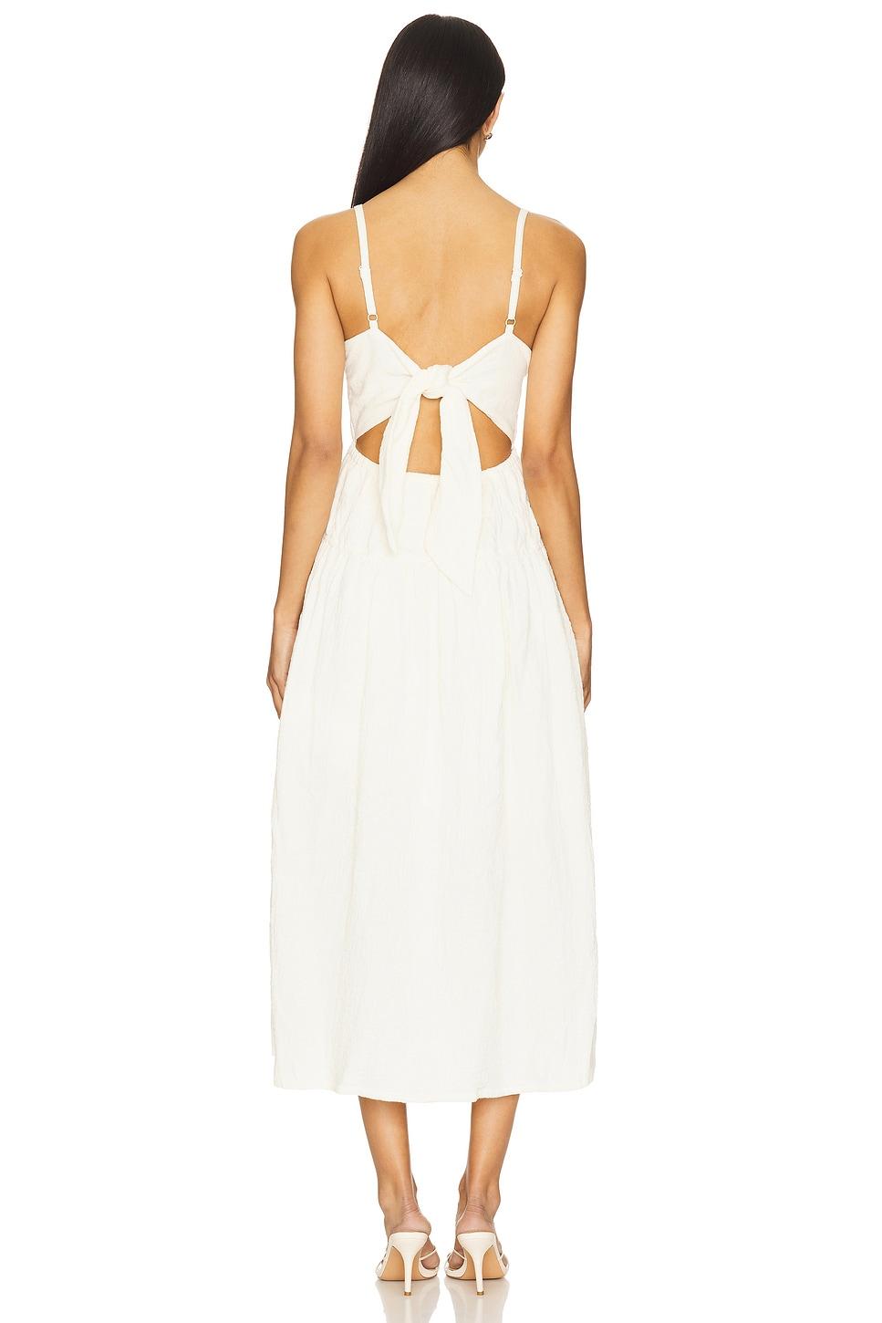 Toby Dress Steve Madden Product Image