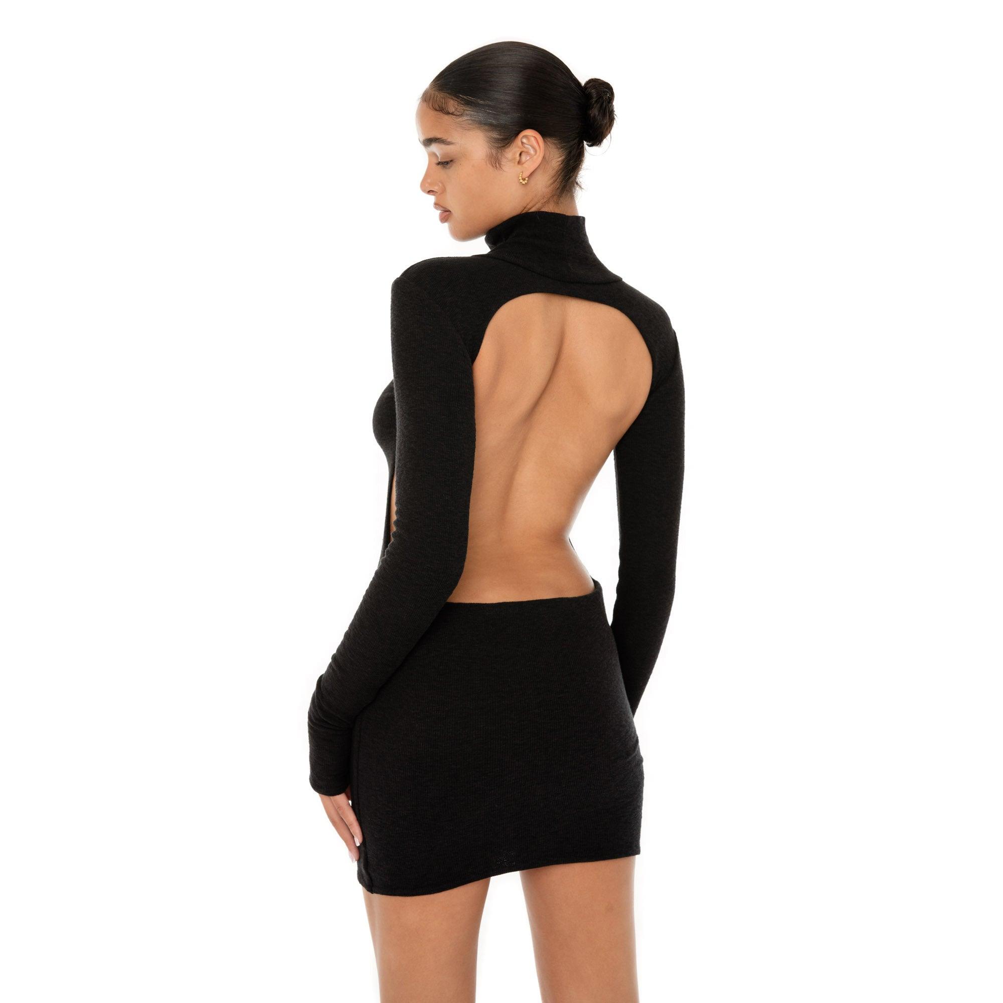 Denz Dress Product Image