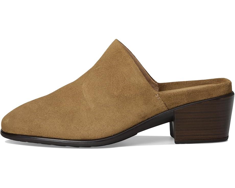 Women's Naot Dedicate Product Image