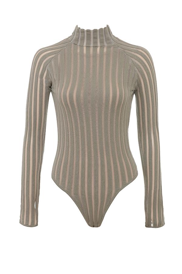Rowena  grey velour sheer striped bodysuit Product Image