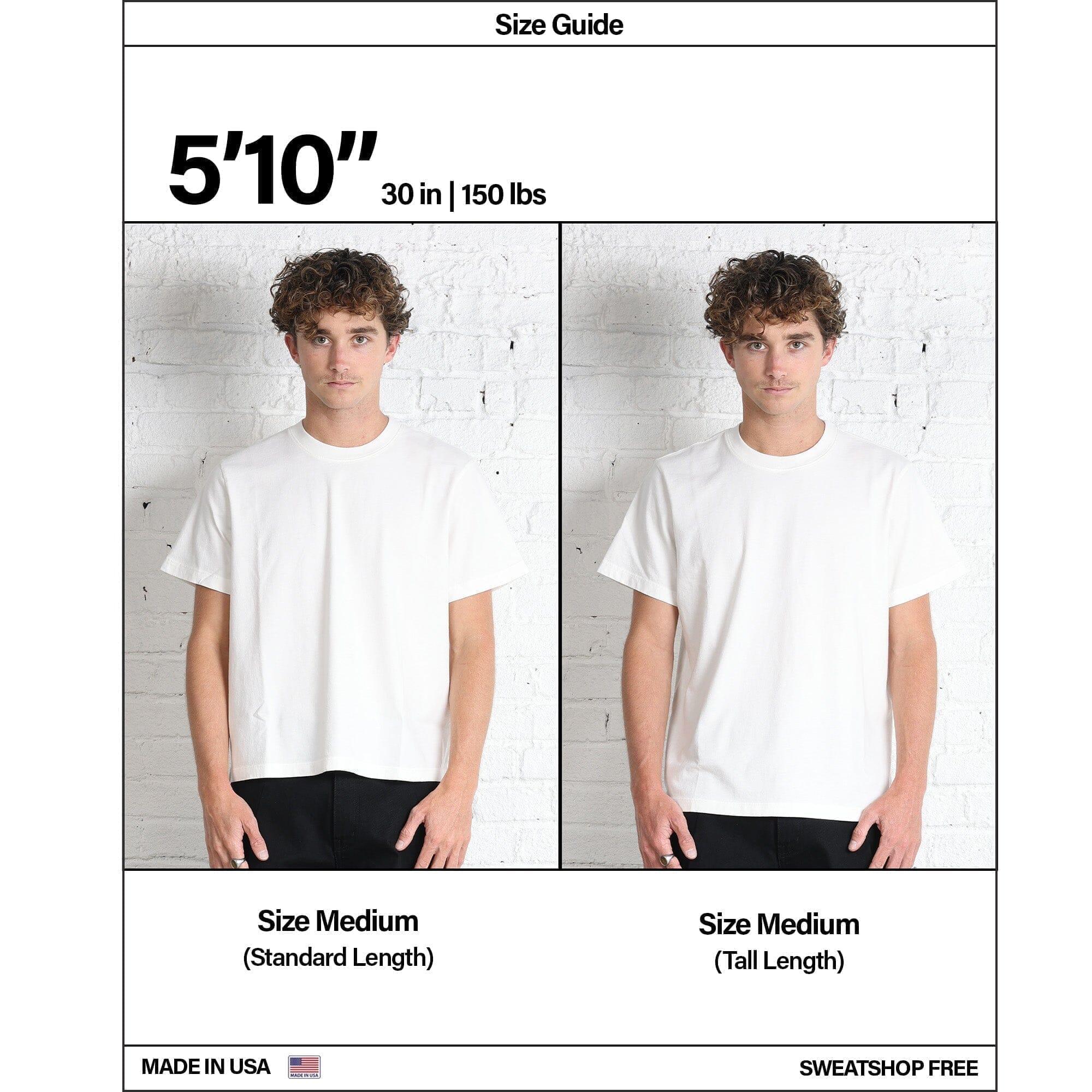 Silverlake Crop Tee II Product Image