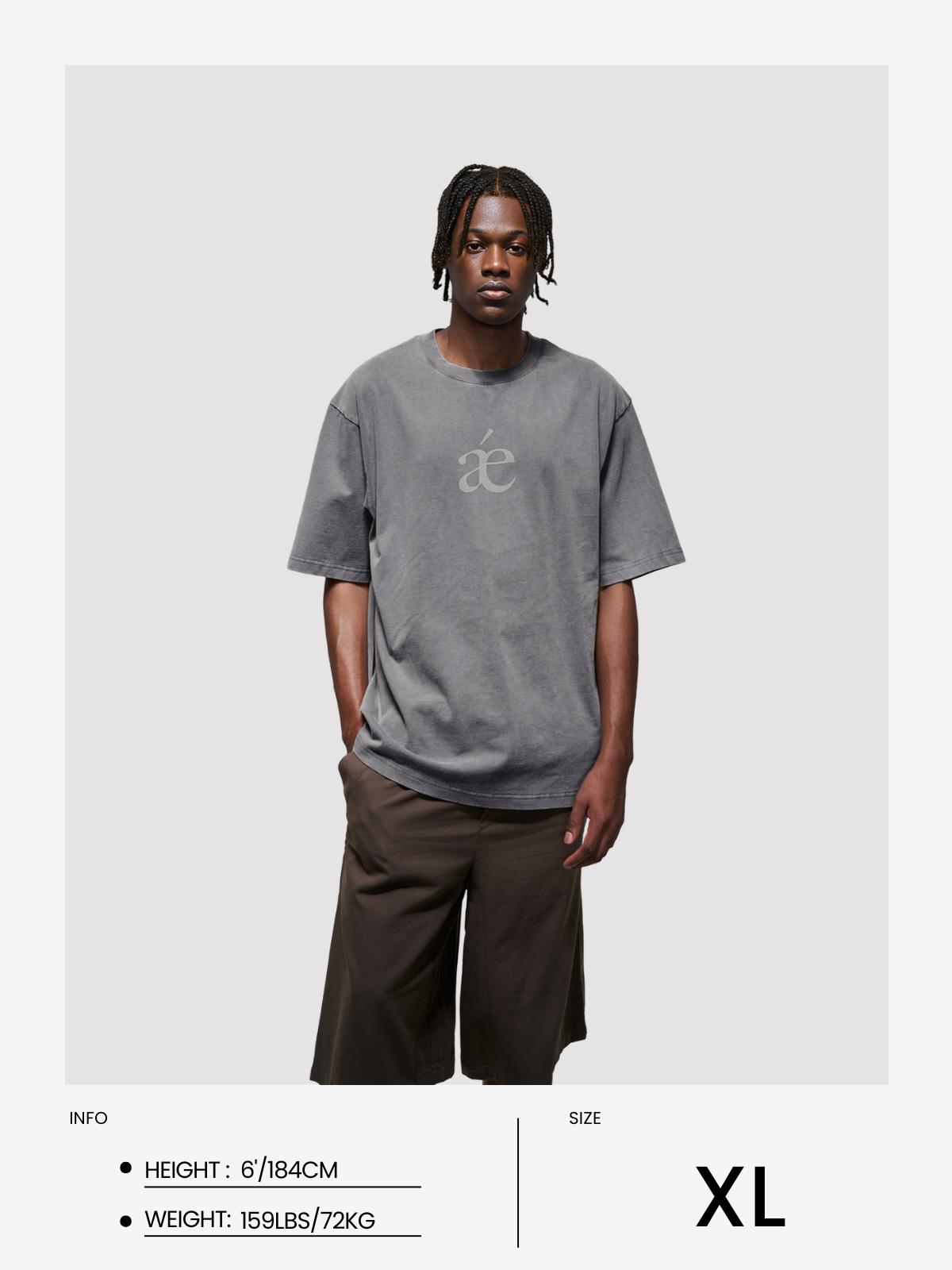 Aelfric Eden Essential aé Washed Tee Product Image