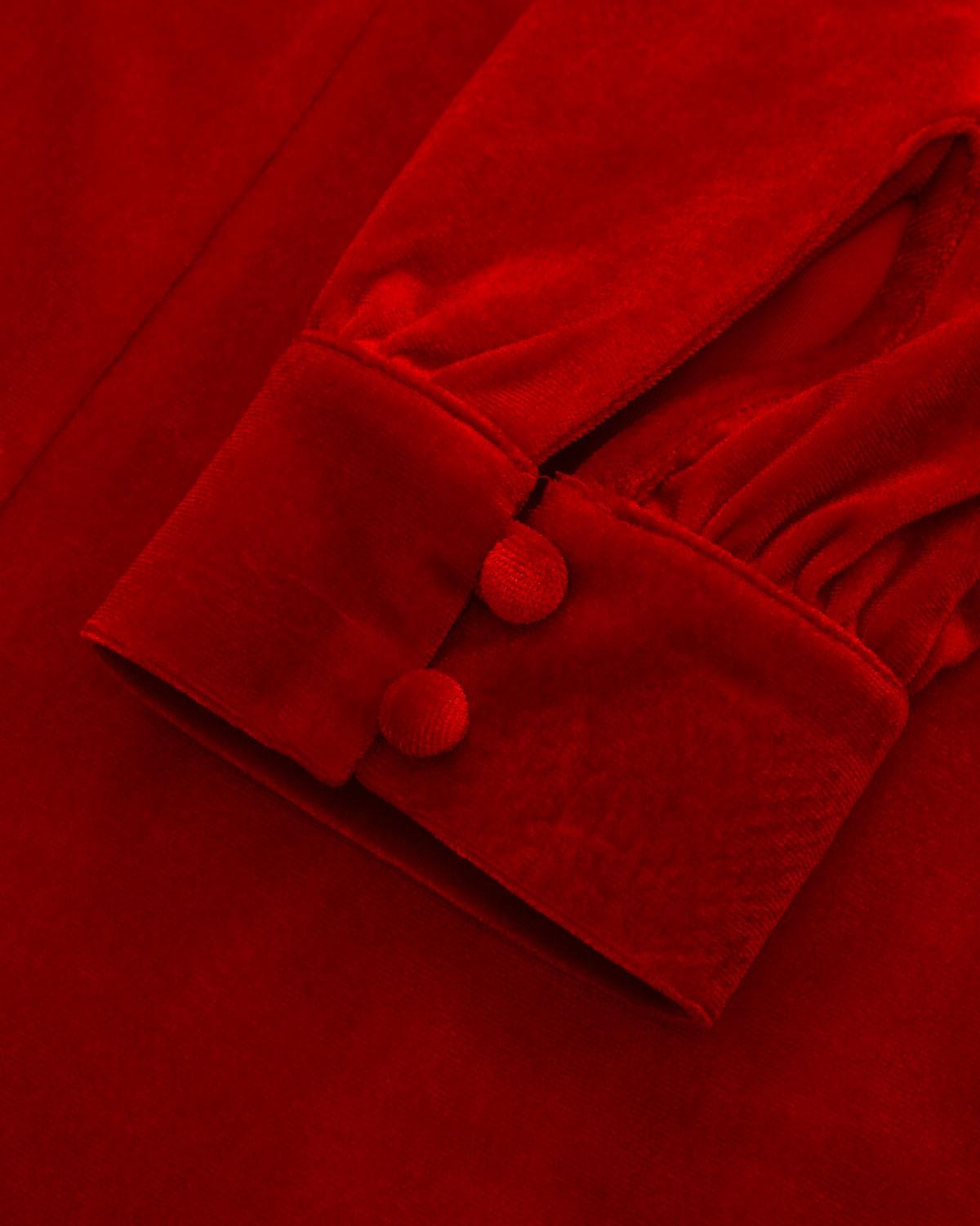 Red Velvet Puffed Sleeve A-Line Mini Dress Product Image