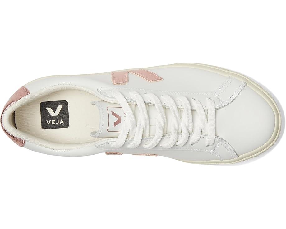 Esplar Logo Product Image