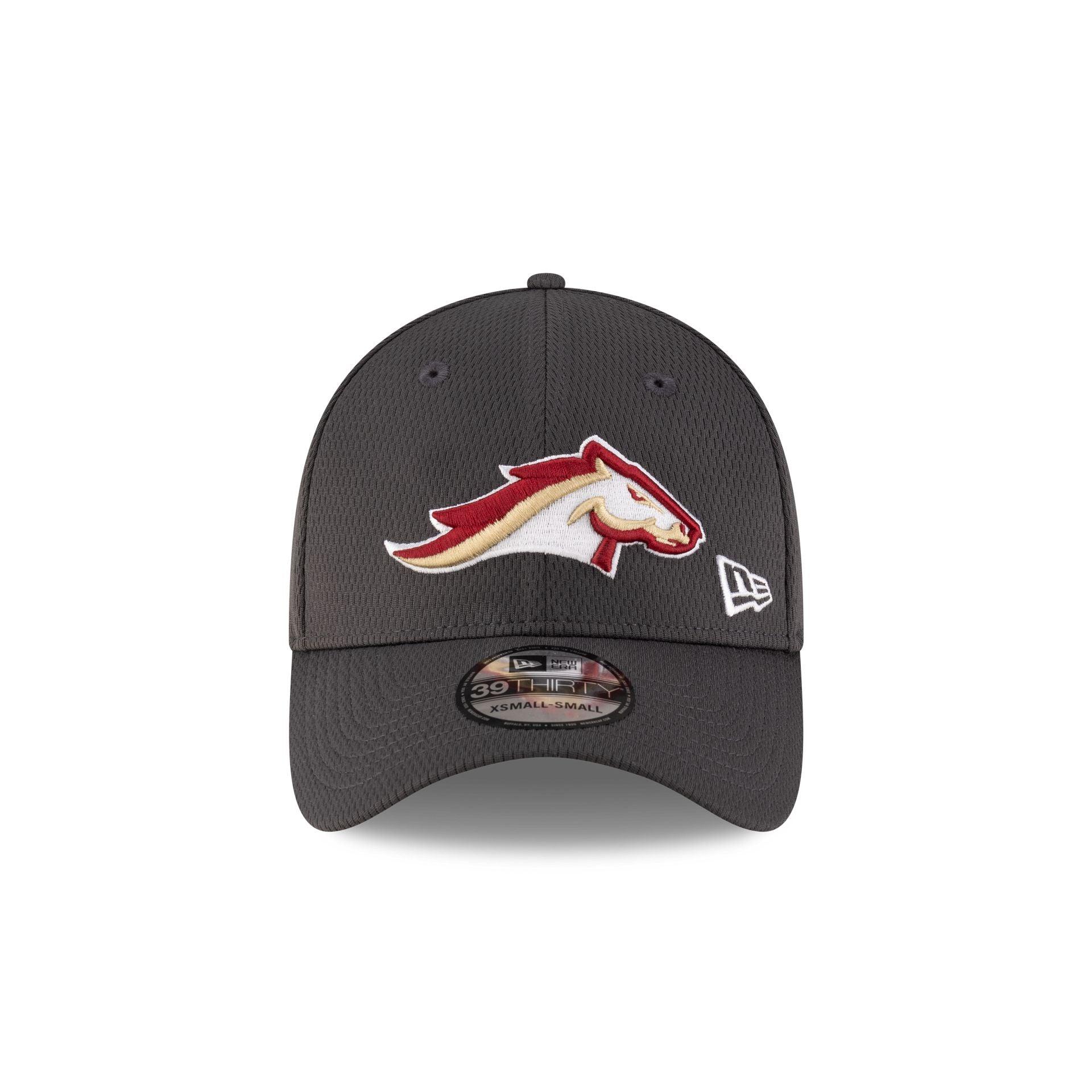 Birmingham Stallions Gray 39THIRTY Stretch Fit Hat Male Product Image