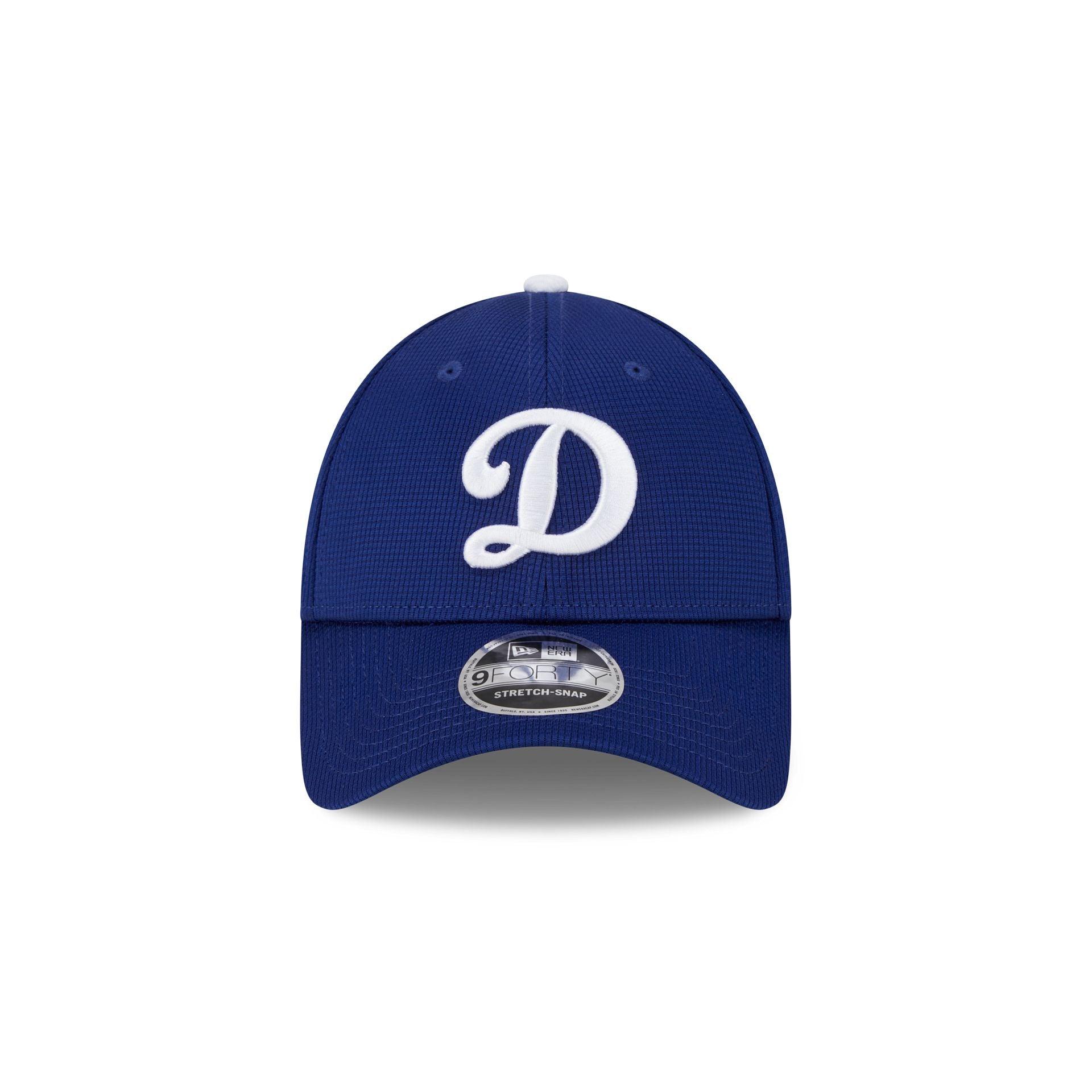 Los Angeles Dodgers 2025 Batting Practice Blue 9FORTY Stretch-Snap Hat Male Product Image