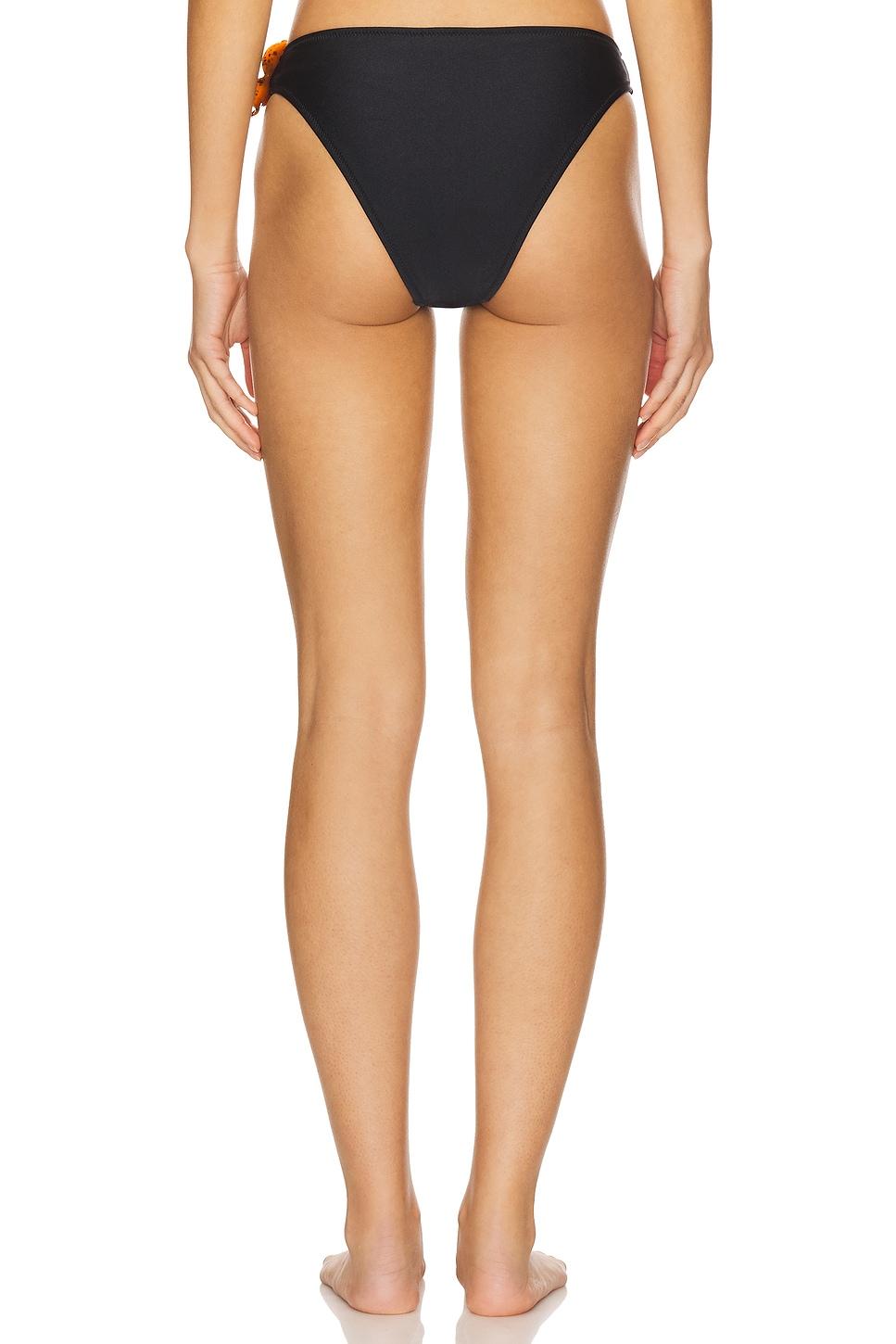 Medea Bikini Bottom Shani Shemer Product Image