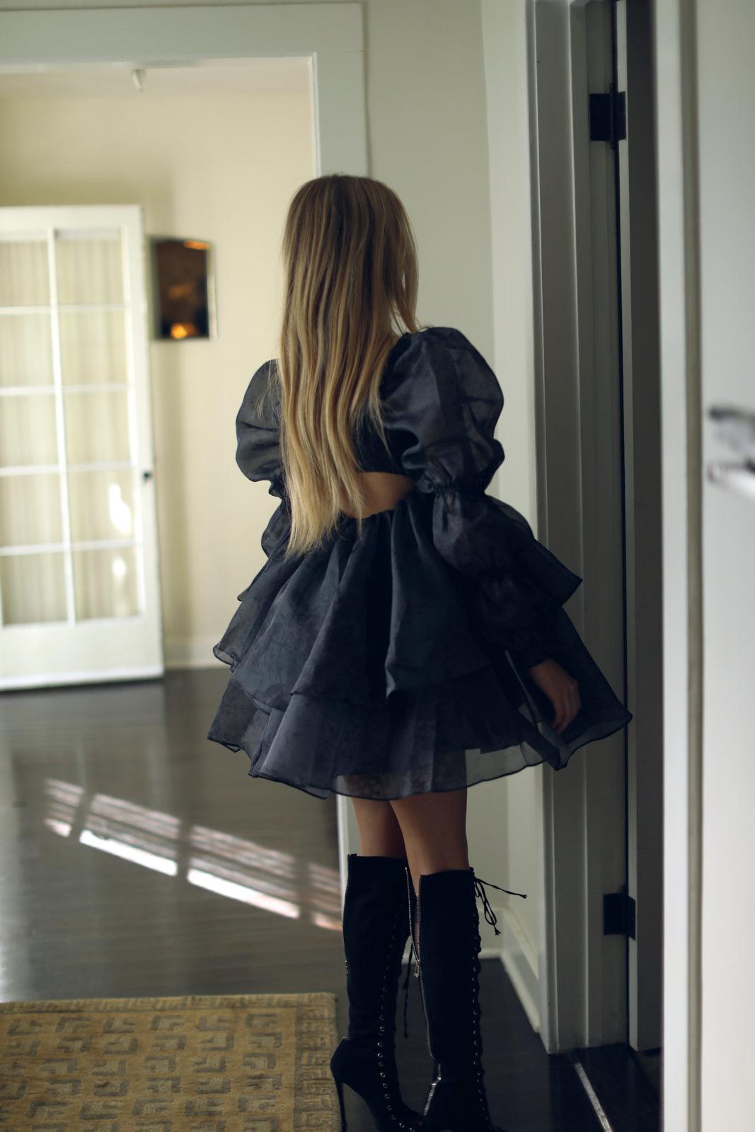 The Blackberry Moonlight Dress Product Image