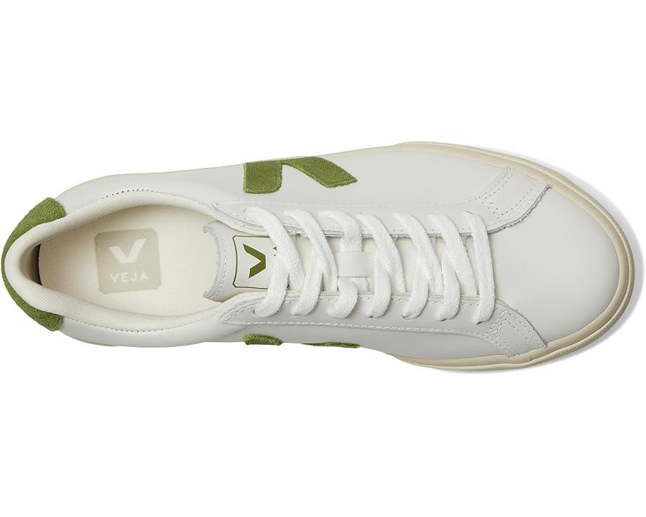 Esplar Logo Product Image