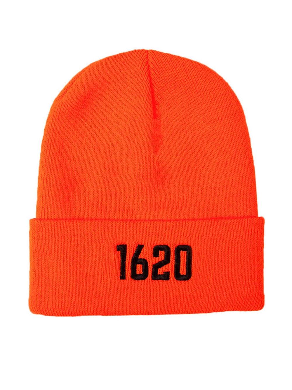 Cuffed Beanie Product Image