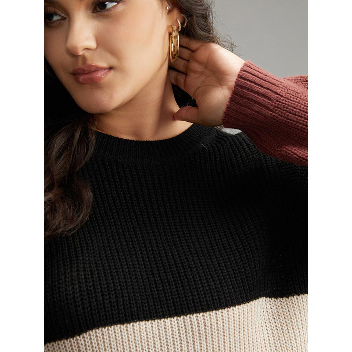 Plus Size Colorblock Contrast Crew Neck Pullover Multicolor Women Casual Loose Long Sleeve Round Neck Dailywear Pullovers BloomChic 14-16/1X Product Image