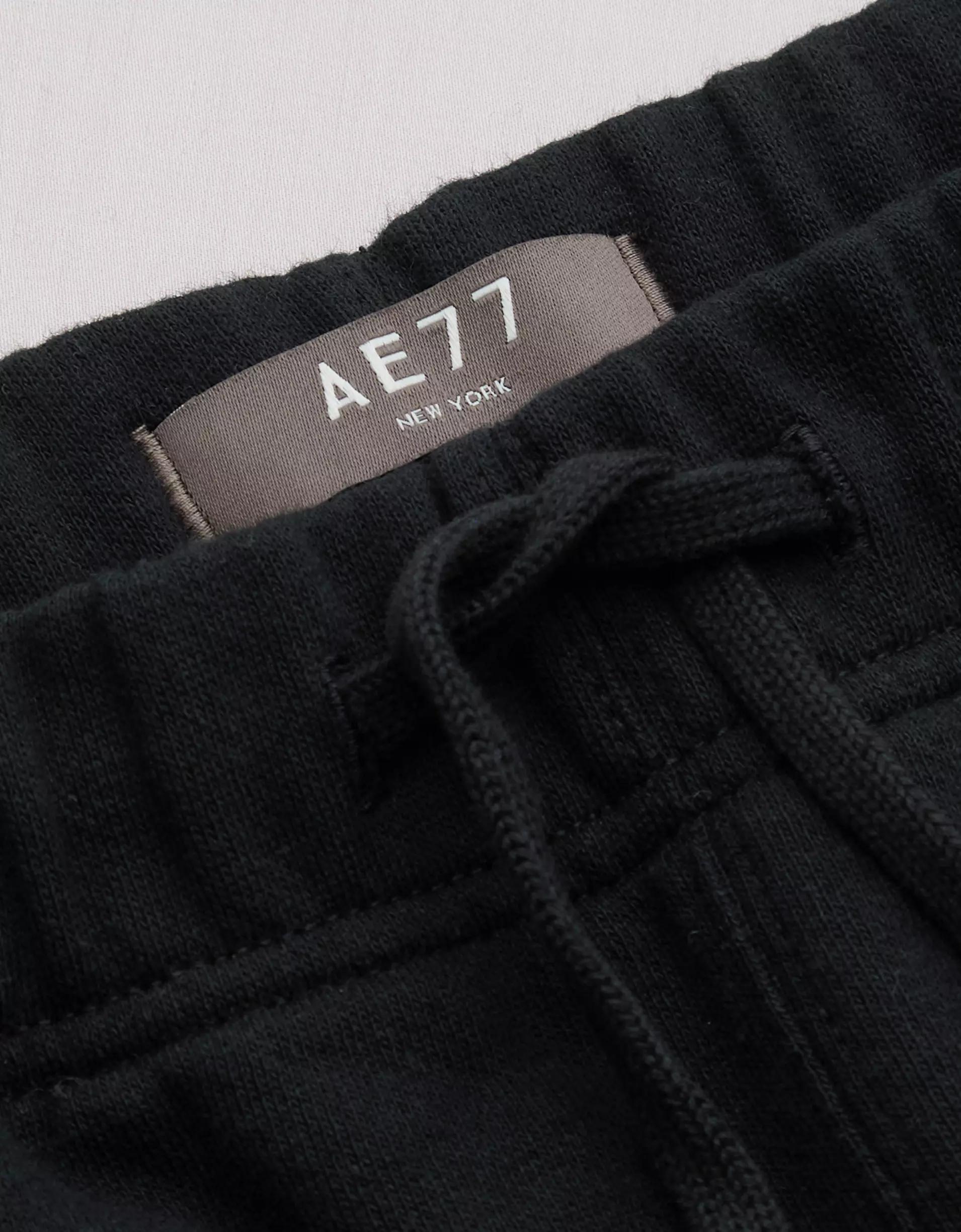 AE77 Premium Fleece Jogger Product Image