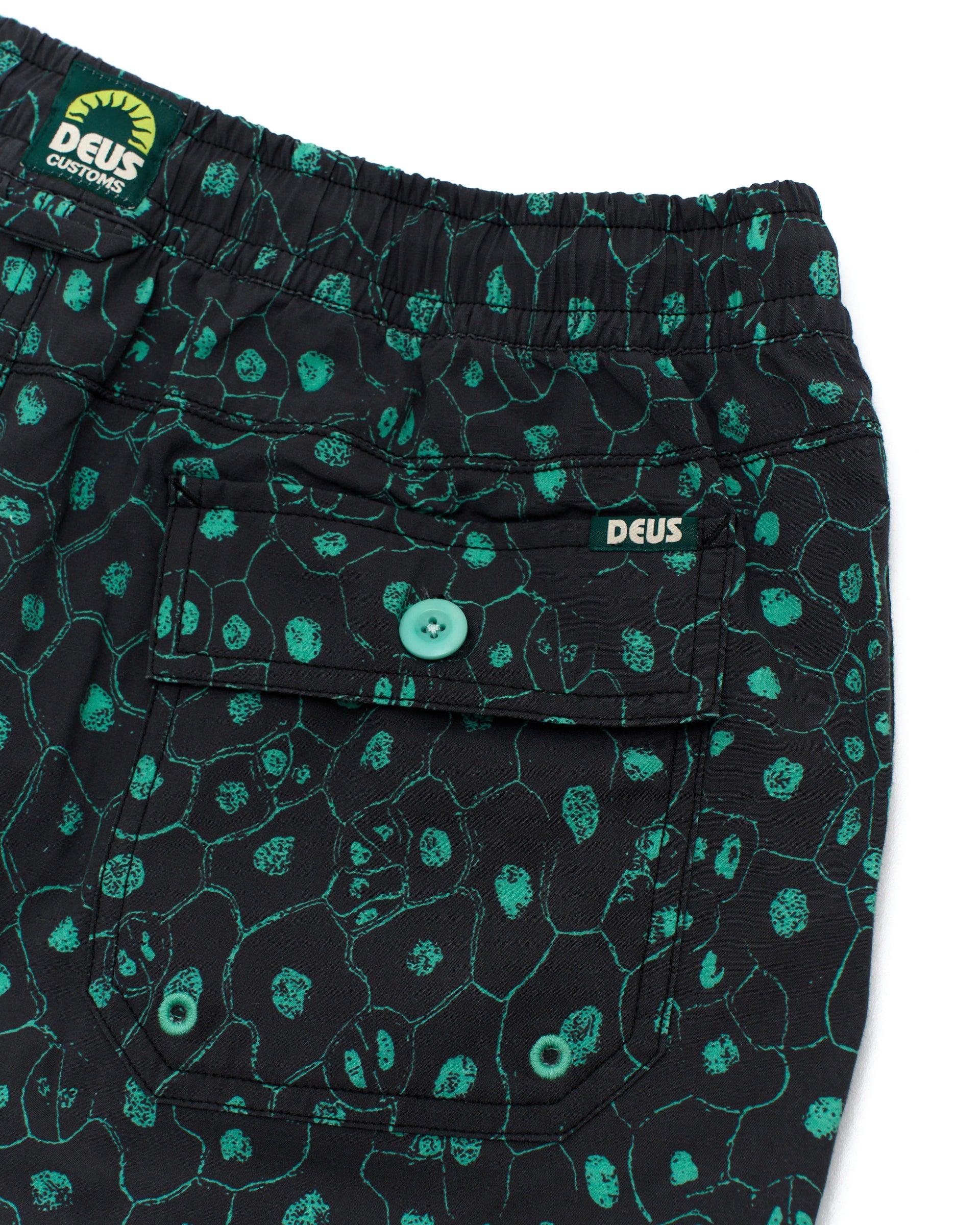 Plant Cell Boardshort (Mesh) - Biscay Green Product Image