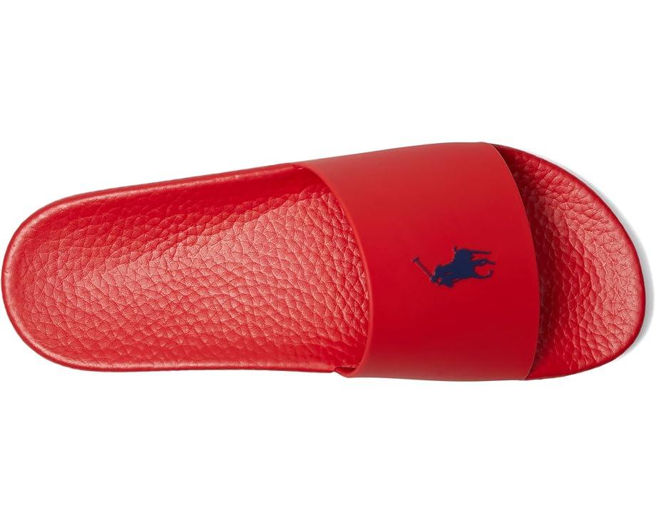 Polo Bear Slide Product Image