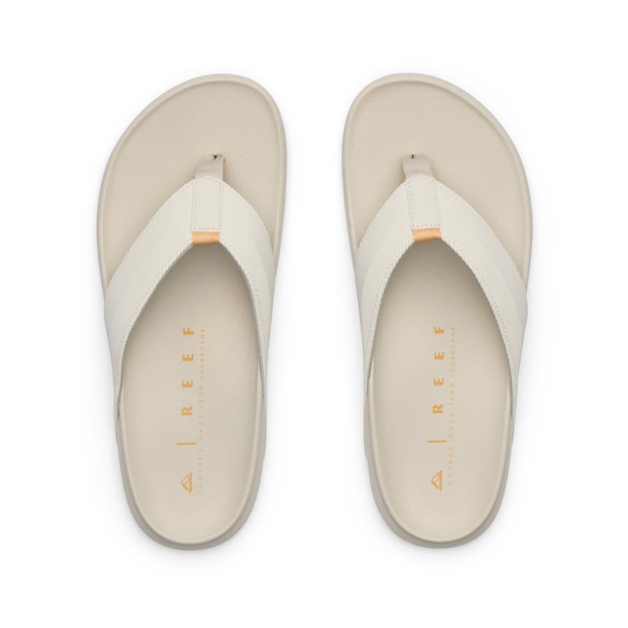 The Raglan Male Product Image