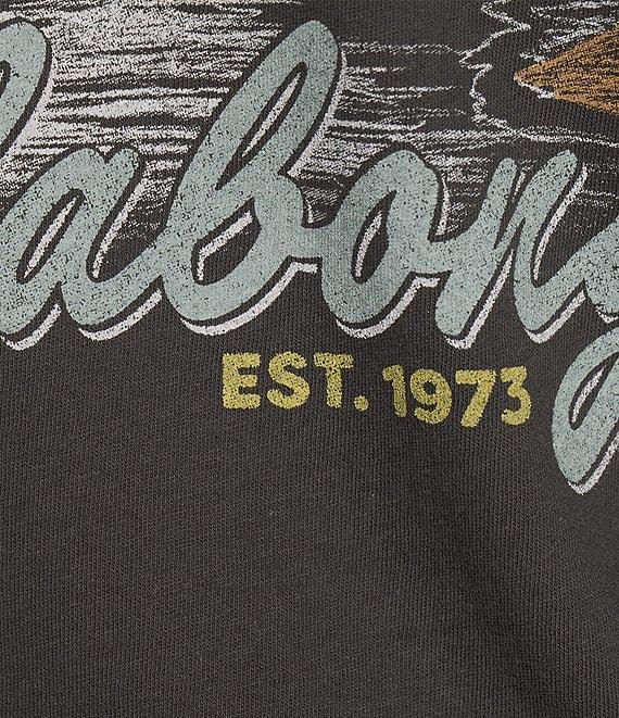 Billabong What A Vibe Short Sleeve T-Shirt Product Image
