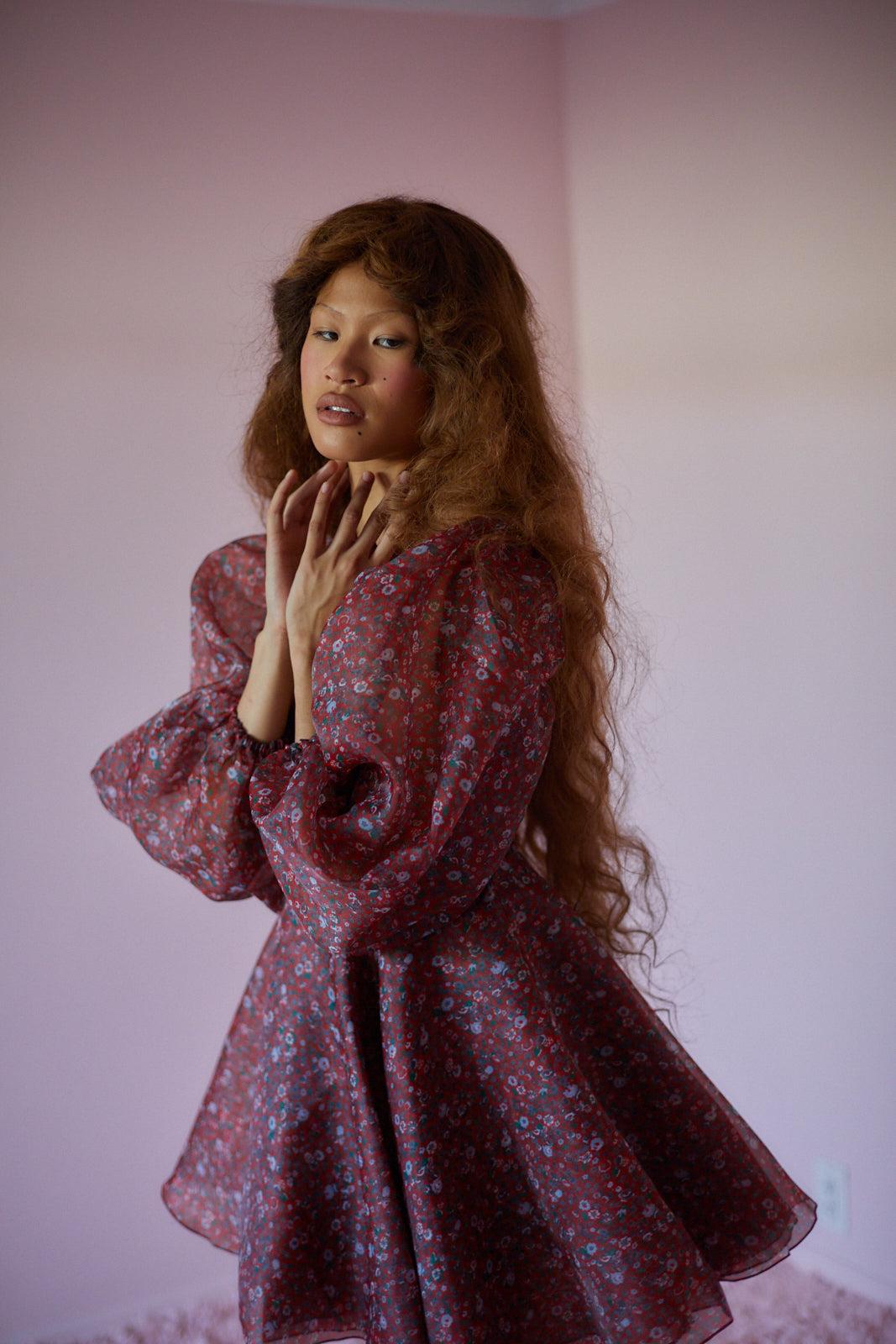 The Crimson Princess Dress Product Image