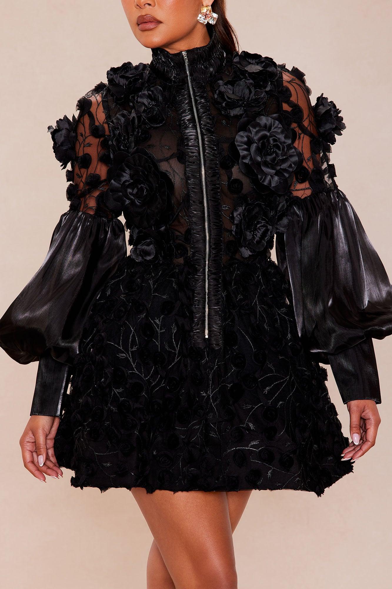 Raven Sheer Embroidered Mini Dress - Black Female Product Image