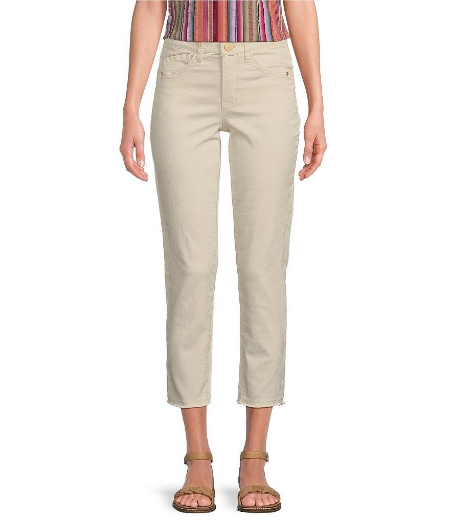 Democracy #double;Ab#double;solution® Embroidered Slim Straight Leg High Rise Cropped Jeans Product Image