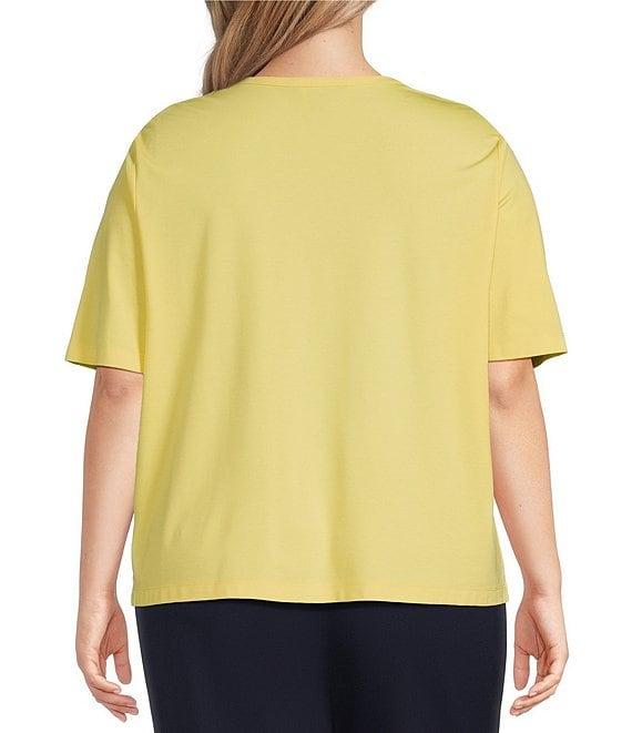 Investments Plus Size Knit Short Sleeve Ballet Neck Top Product Image