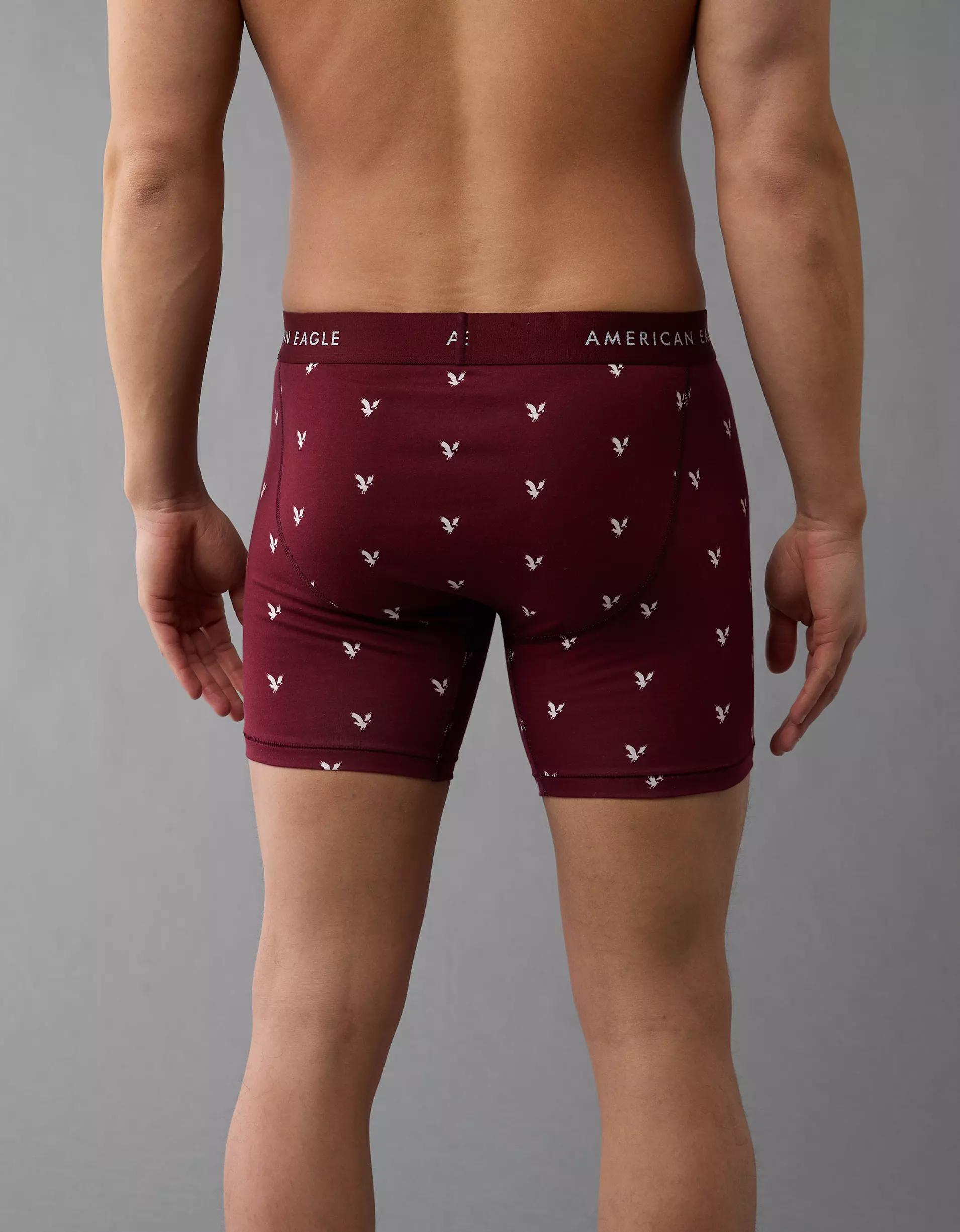 AEO Men's Cherries 6" Classic Boxer Brief Product Image
