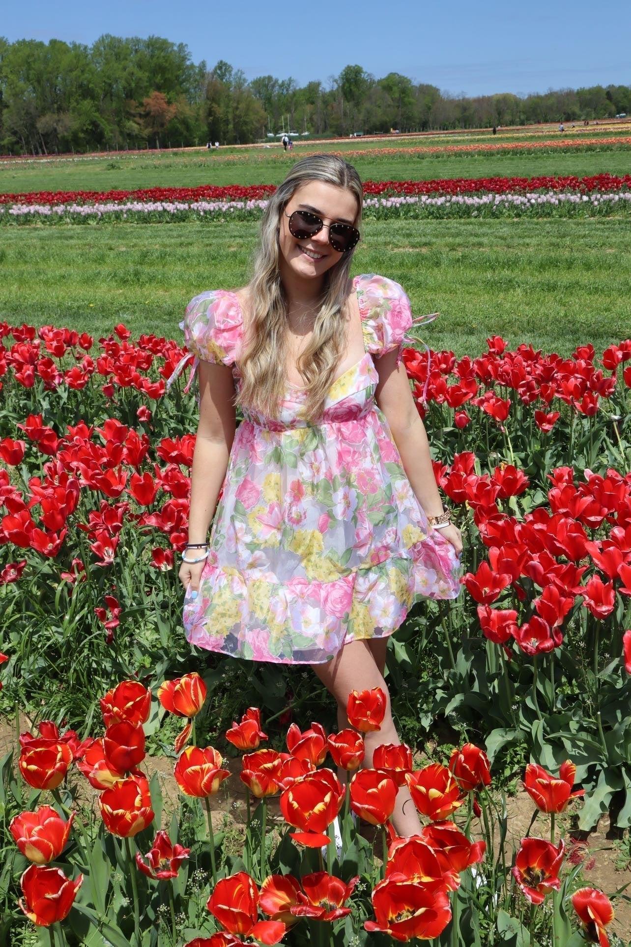 FINAL SALE Bardot Tulle Floral Babydoll Dress Product Image