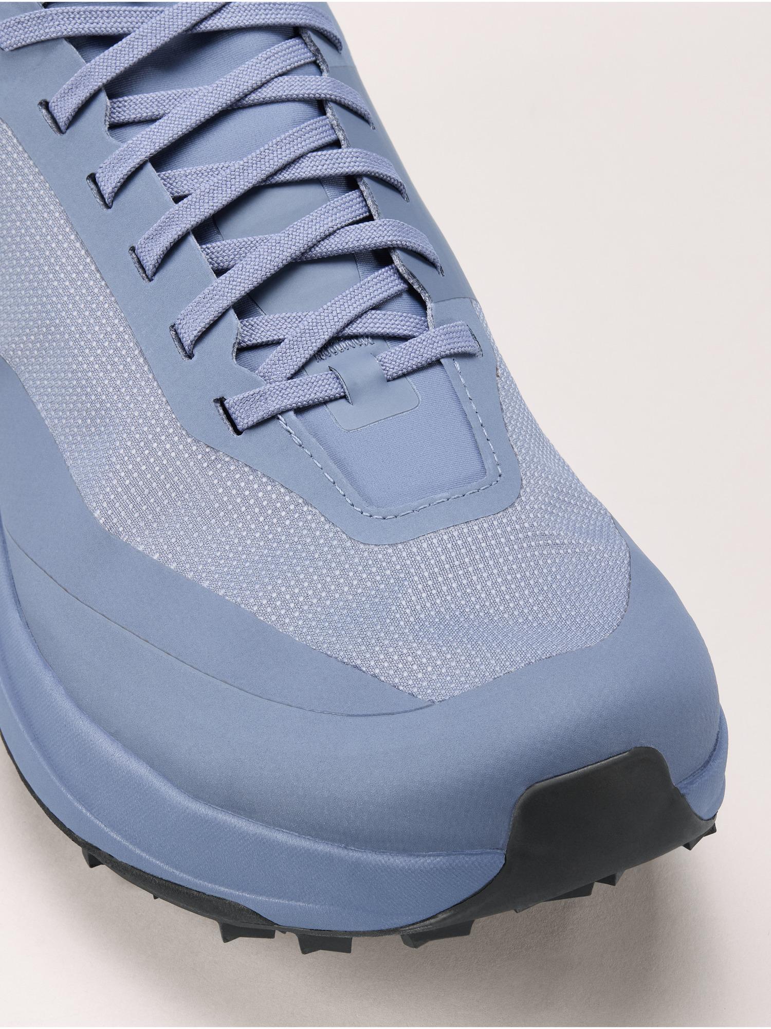 Sylan GTX Shoe Men's Product Image