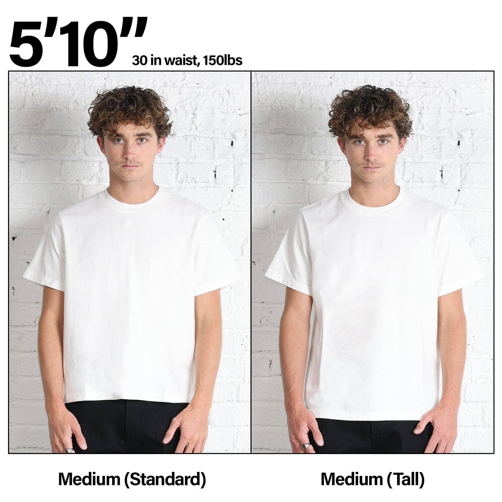 Silverlake Crop Tee II Product Image