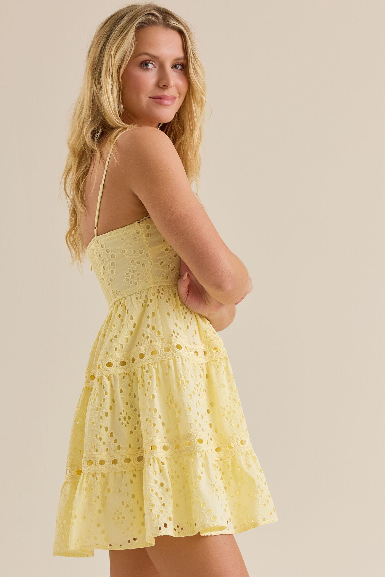 Briar Eyelet Mini Dress Product Image