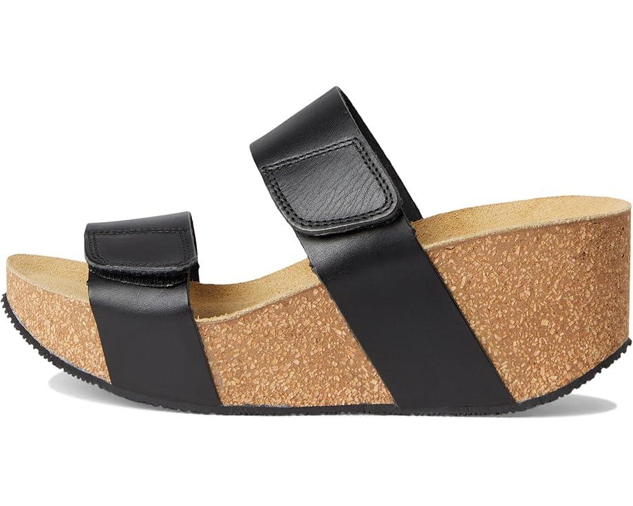 Lily 2 Product Image